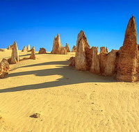 Full-Day Pinnacles Desert and Yanchep National Park Tour From Perth - Holiday Cairns