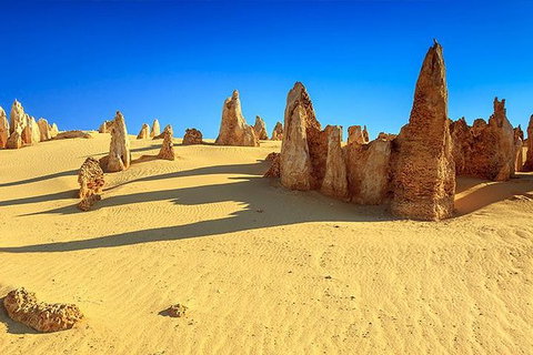 Full-Day Pinnacles Desert And Yanchep National Park Tour From Perth - Holiday Cairns 0