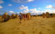 Full-Day Pinnacles Desert And Yanchep National Park Tour From Perth - thumb 5