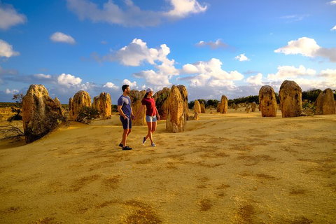 Full-Day Pinnacles Desert And Yanchep National Park Tour From Perth - Holiday Cairns 5