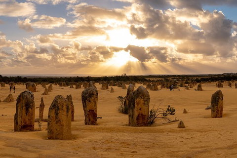 Full-Day Pinnacles Desert And Yanchep National Park Tour From Perth - Holiday Cairns 4