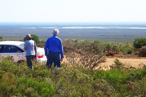 Spring Wildflower (Private) Day Tours - Holiday Cairns 36