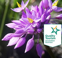 Spring Wildflower Private Day Tours - Holiday Cairns