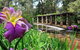 Spring Wildflower (Private) Day Tours - thumb 35