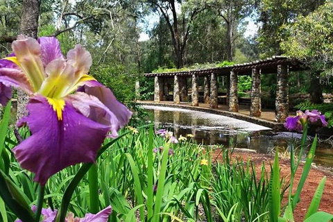 Spring Wildflower (Private) Day Tours - Holiday Cairns 35