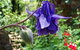 Spring Wildflower (Private) Day Tours - thumb 11