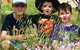 Spring Wildflower (Private) Day Tours - thumb 30