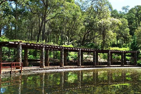 Spring Wildflower (Private) Day Tours - Holiday Cairns 5