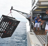 Rottnest Island Wild Seafood Package with Round Trip Ferry from Perth - Holiday Cairns