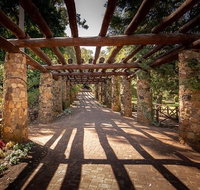 Hidden Secrets  Araluen Guided Hike - Holiday Cairns