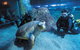 Dive With Sharks At AQWA - thumb 0