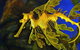 Dive With Sharks At AQWA - thumb 16