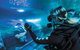 Dive With Sharks At AQWA - thumb 6