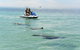 Perth Jet Ski Tour - thumb 3