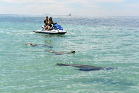 Perth Jet Ski Tour - Holiday Cairns 3