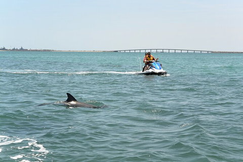 Perth Jet Ski Tour - Holiday Cairns 2