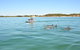 Perth Jet Ski Tour - thumb 0