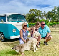 Half Day VW Kombi Food and Wine tour - Holiday Cairns