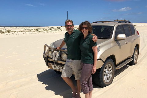 Half-Day Pemberton National Parks Beach And Forest Eco Adventure - Holiday Cairns 6