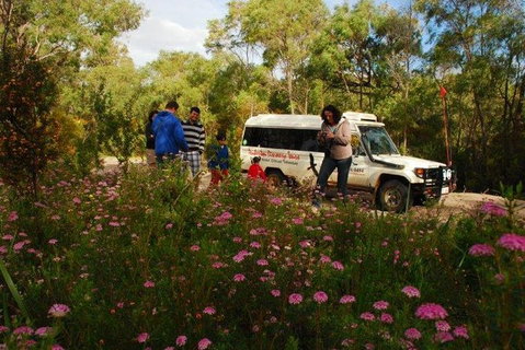 Half-Day Pemberton National Parks Beach And Forest Eco Adventure - Holiday Cairns 5