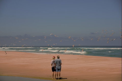 Half-Day Pemberton National Parks Beach And Forest Eco Adventure - Holiday Cairns 2