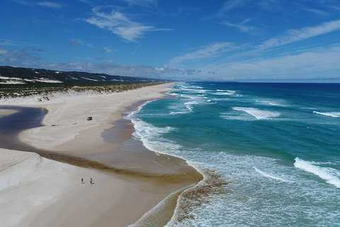 Half-Day Pemberton National Parks Beach And Forest Eco Adventure - Holiday Cairns 3