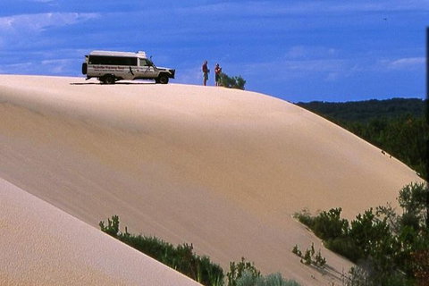 Half-Day Pemberton National Parks Beach And Forest Eco Adventure - Holiday Cairns 0