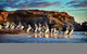 Penguin Island Tour - thumb 1