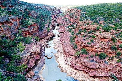 Pink Lake - Hutt Lagoon Kalbarri - Holiday Cairns 3
