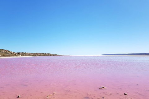 Pink Lake - Hutt Lagoon Kalbarri - Holiday Cairns 4
