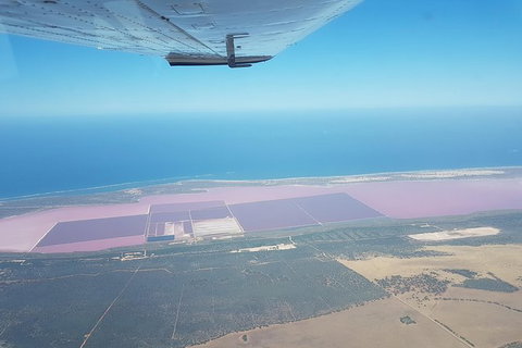 Pink Lake - Hutt Lagoon Kalbarri - Holiday Cairns 0