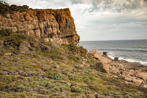 Guided Walks On The Cape To Cape - Moses Rock To Ellenbrook - Holiday Cairns 5