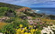 Guided Walks On The Cape To Cape - Moses Rock To Ellenbrook - thumb 0