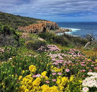 Guided Walks on the Cape to Cape - Moses Rock to Ellenbrook - Holiday Cairns