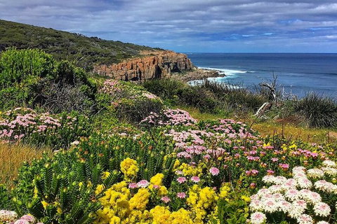 Guided Walks On The Cape To Cape - Moses Rock To Ellenbrook - Holiday Cairns 0