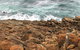 Guided Walks On The Cape To Cape - Moses Rock To Ellenbrook - thumb 1