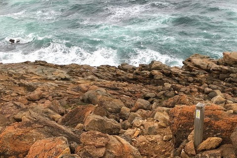 Guided Walks On The Cape To Cape - Moses Rock To Ellenbrook - Holiday Cairns 1