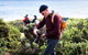 Guided Walks On The Cape To Cape - Moses Rock To Ellenbrook - thumb 3