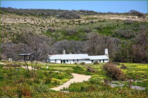 Guided Walks On The Cape To Cape - Moses Rock To Ellenbrook - Holiday Cairns 2
