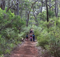 Guided Walks on the Cape to Cape - Skippy Rock - Holiday Cairns