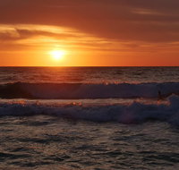 Australian animals Seascape and Sunset Photography Tour - Holiday Cairns