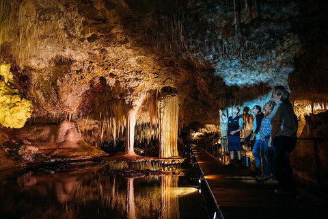 Three Day Charter Margaret River Region (Perth Travelers) - Holiday Cairns 22