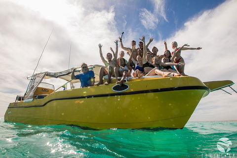 Ningaloo Immersion Private Charter - Holiday Cairns 9