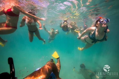 Ningaloo Immersion Private Charter - Holiday Cairns 8