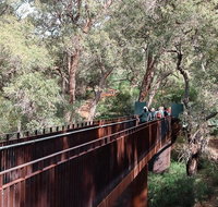 Sixty Foot Falls Guided Hike - Holiday Cairns