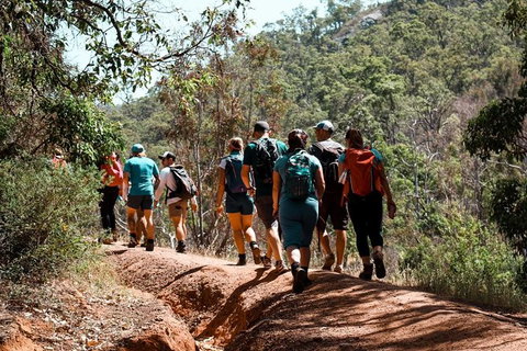 Kitty\'s Gorge Guided Hike - Holiday Cairns 1