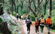 Kitty\'s Gorge Guided Hike - thumb 3