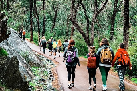 Kitty\'s Gorge Guided Hike - Holiday Cairns 3