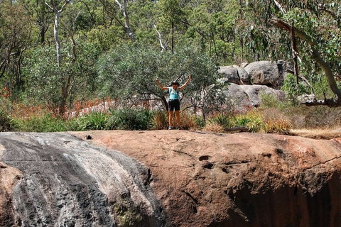 Kitty\'s Gorge Guided Hike - Holiday Cairns 4
