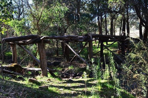 Kitty\'s Gorge Guided Hike - Holiday Cairns 2